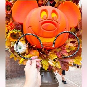 Two Park Princesses Black Out Bling Ears